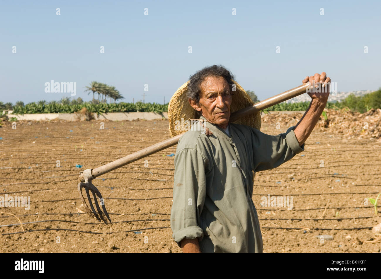 70 Jahre alten nahöstlichen Bauer hält seine Landwirtschaft Gabel Tyr Libanon Nahost Stockfoto