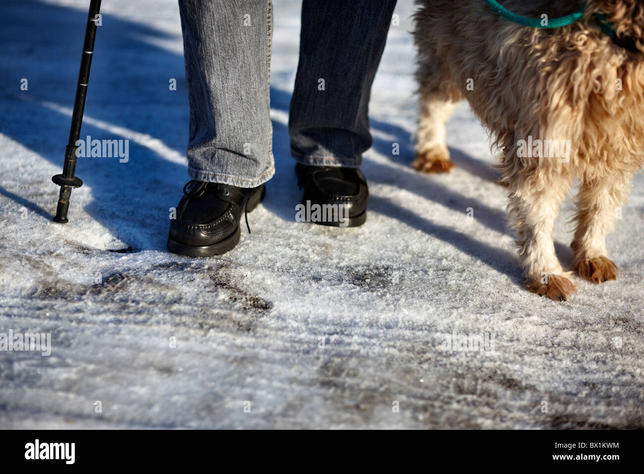 Älteren Person zu Fuß Hund unter eisigen Bedingungen Stockfoto