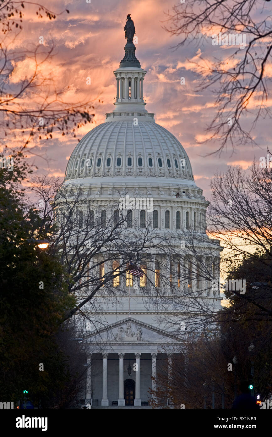 Die United States Capitol Building, Washington, D.C. Stockfoto