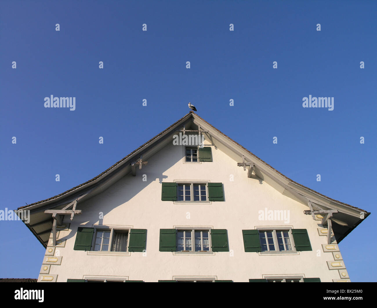 Im Alter Tier Tiere Vogel Vögel Farbe Farbe Fassade Fassaden Heim Haus  beherbergt alte Storch Schweiz-Eu Stockfotografie - Alamy