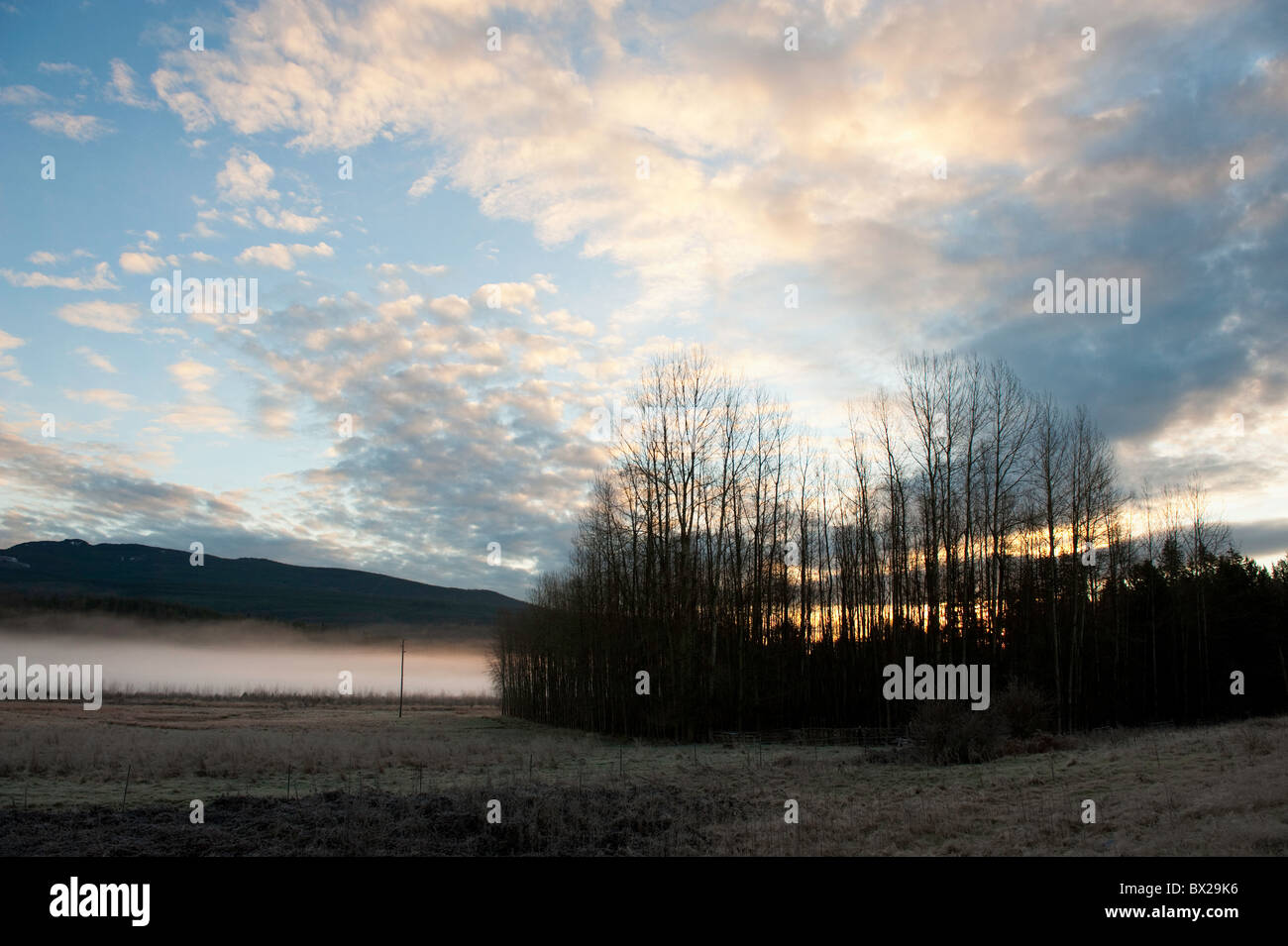 Bodennebel steigt auf das Tal bei Sonnenaufgang in der Nähe von Alger, Washington, USA. Stockfoto