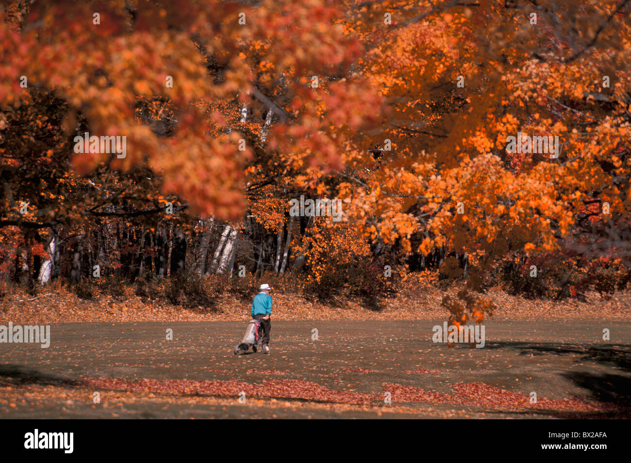Golf Golfplatz Mann Herbst Holz Wald Country Club Golfplatz Gorham White Mountains, Newhampshire, USA Stockfoto