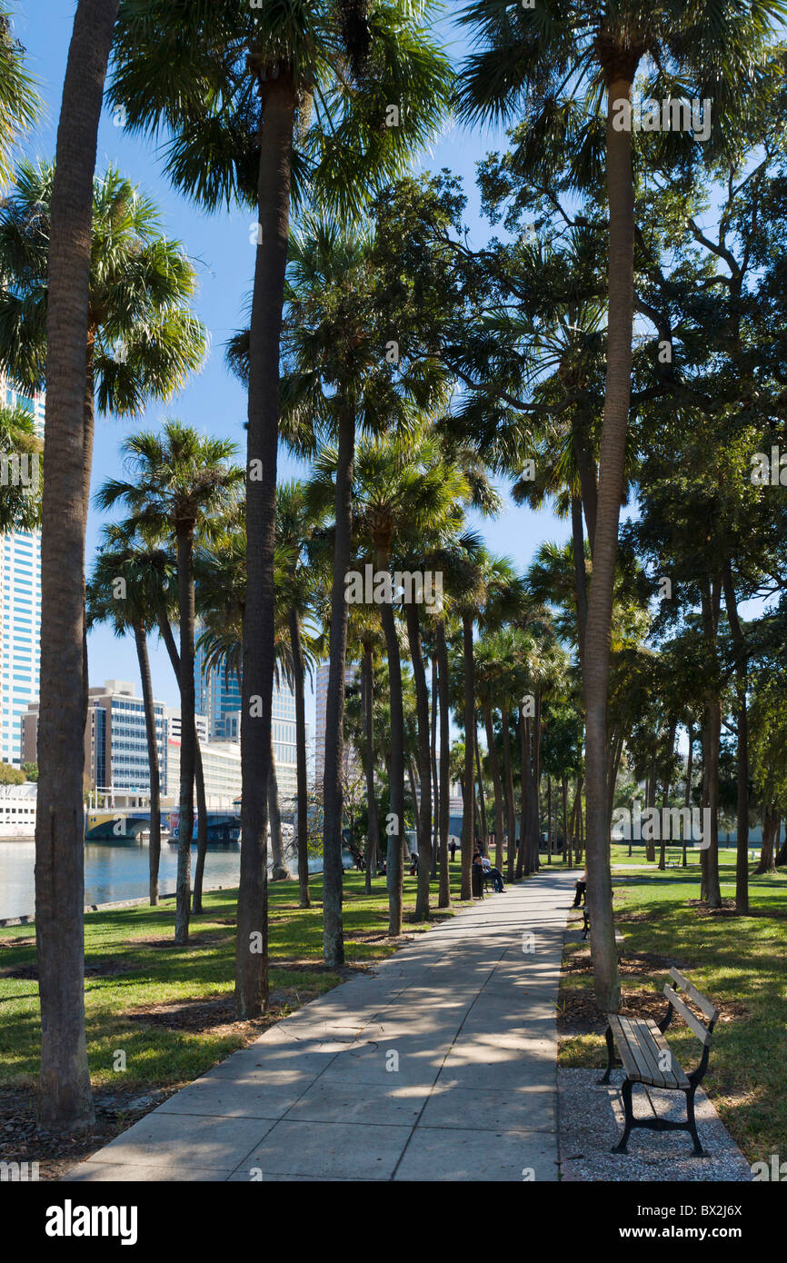 Die Henry B Plant Park am Ufer des Hillsborough River, Tampa, Florida, USA Stockfoto
