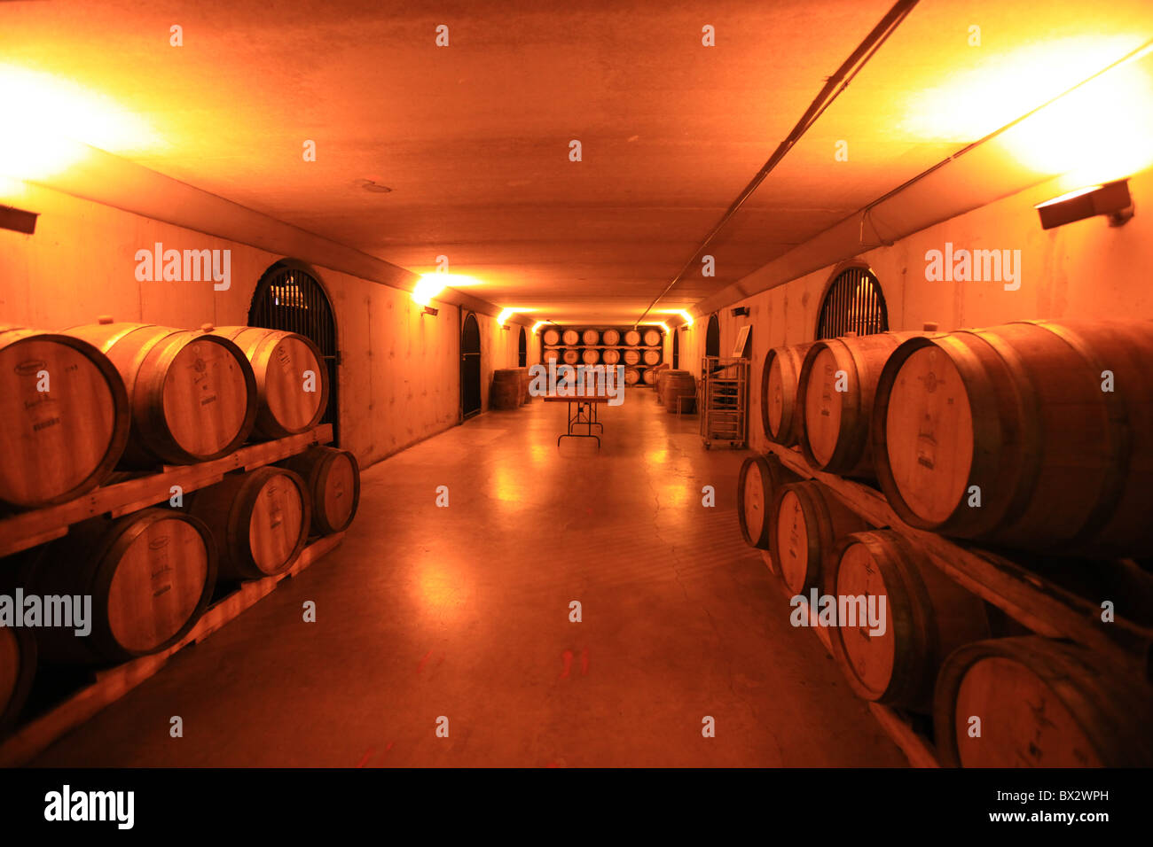 Wein in Eichenfässern für die Gärung in Inniskillin Winery, Niagara, Kanada Stockfoto