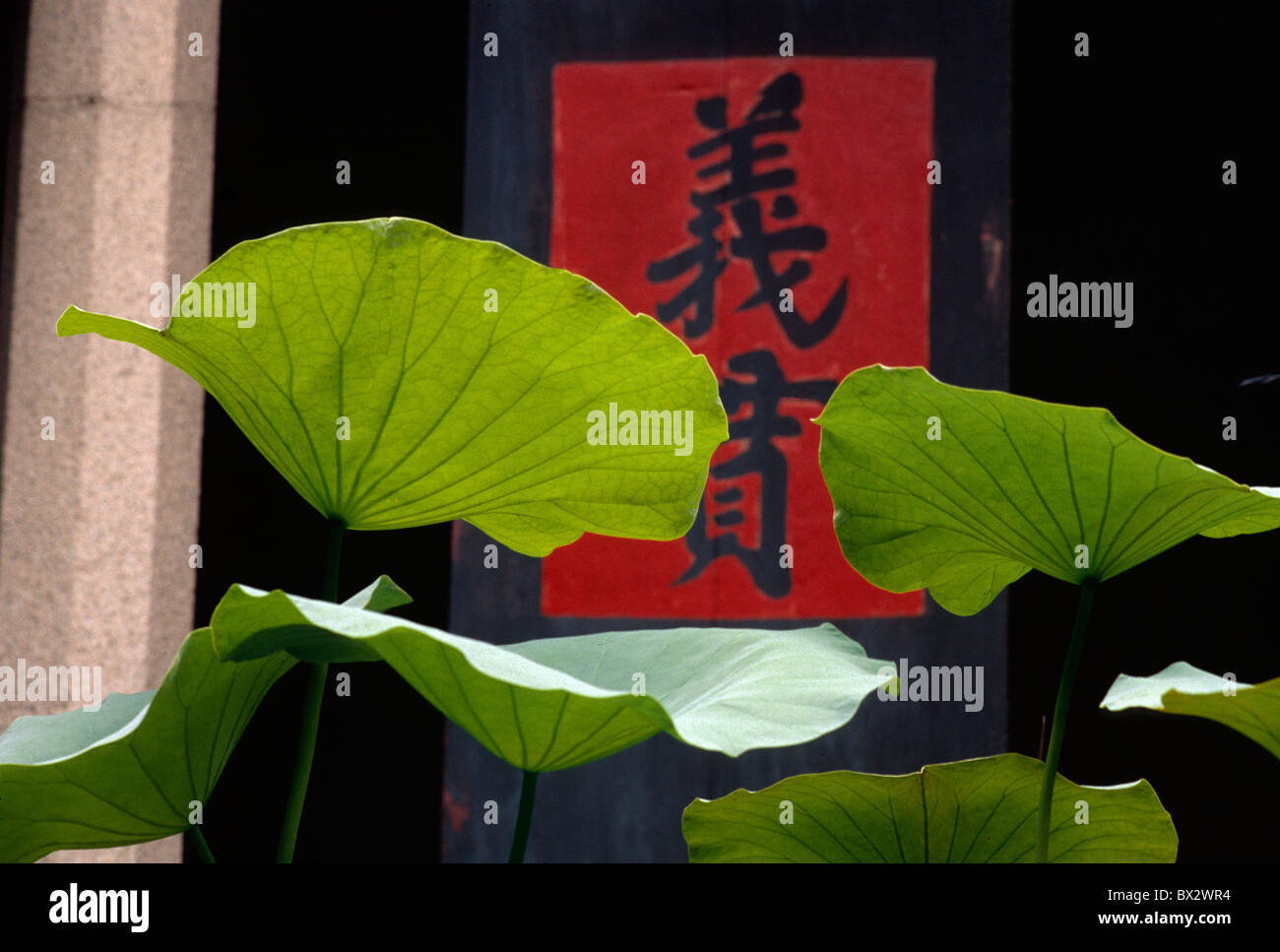 Lotus-Buddhistentempel (Lin Fong Miu) in Macao, China Stockfoto