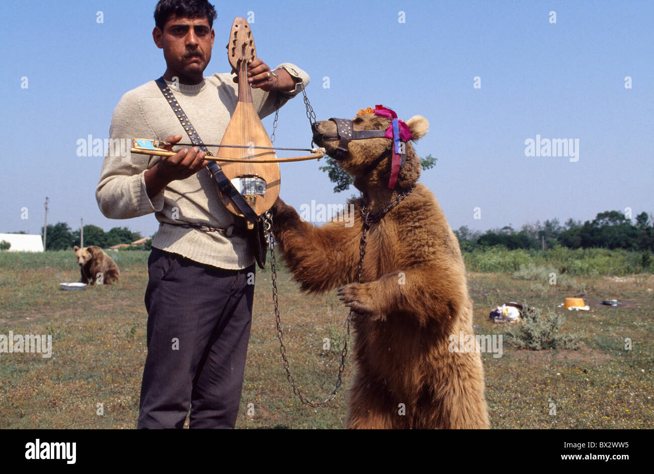 Zigeuner mit dancing Bear, Bulgarien Stockfoto