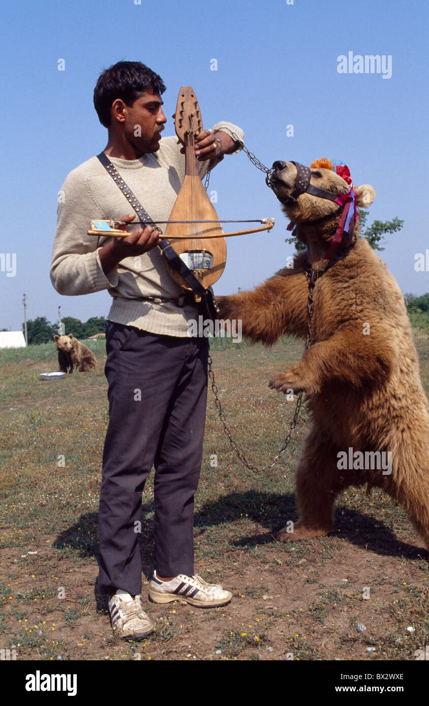 Zigeuner mit dancing Bear, Bulgarien Stockfoto