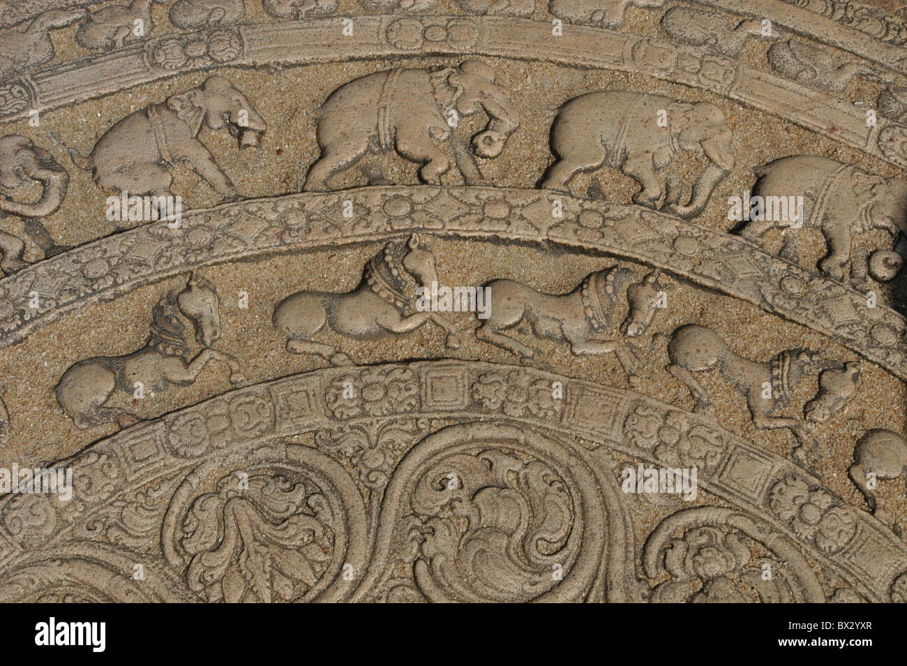 Sri Lanka Asien Polonnaruwa Vatadage Runde Tempel Viereck Tempel Relief, dass Dekorationen Kunst Fertigkeit Bud detail Stockfoto