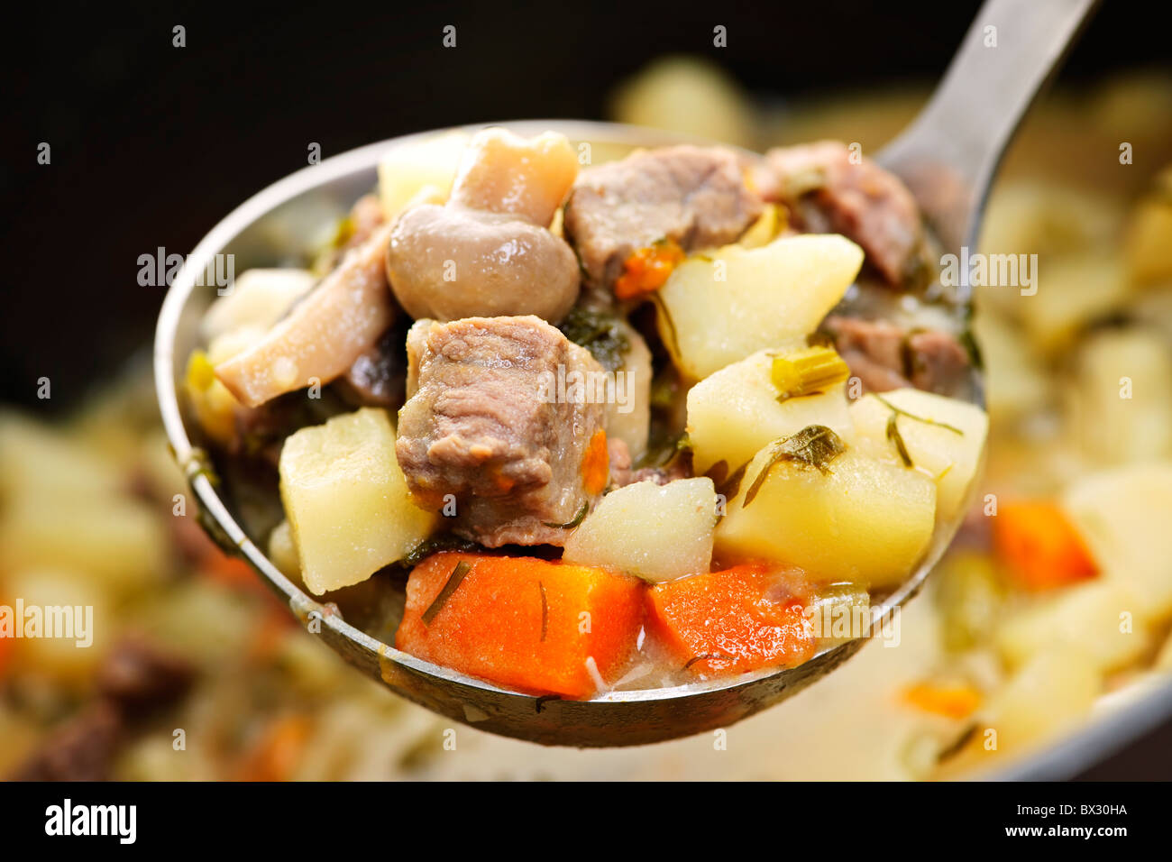 Herzhafte Rindfleisch und Kartoffeln Eintopf mit Gemüse, serviert mit Kelle Stockfoto