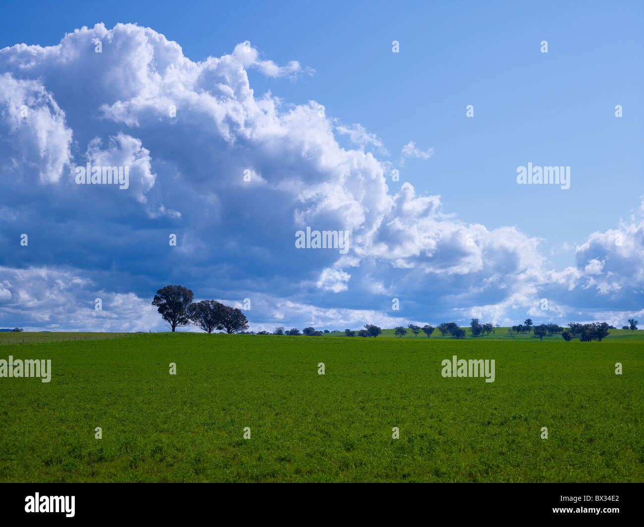 Saftige grüne Weiden & Wolken Stockfoto