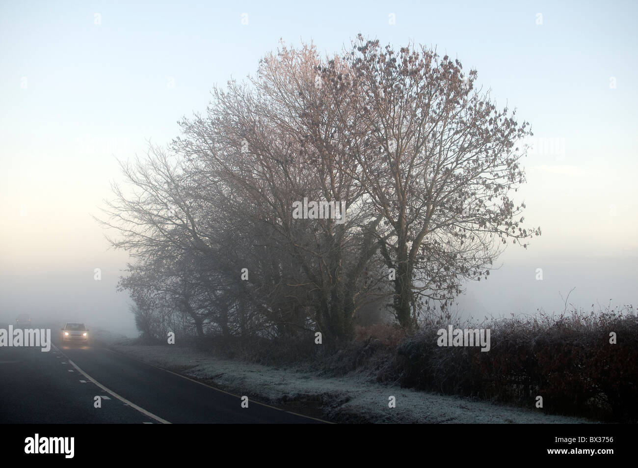 Nebligen kornischen Straße bei schlechter Sicht Stockfoto