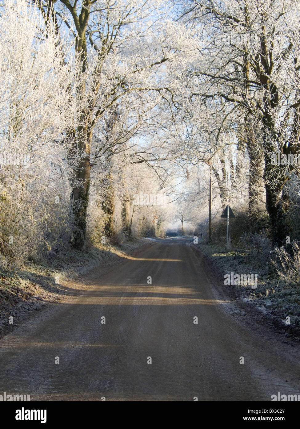 Hotograph Boughton langen Weges in Barton Bendish Norfolk nach Osten. Frost bedeckt Bäume bogenförmig über über die Straße-Schatten. Stockfoto