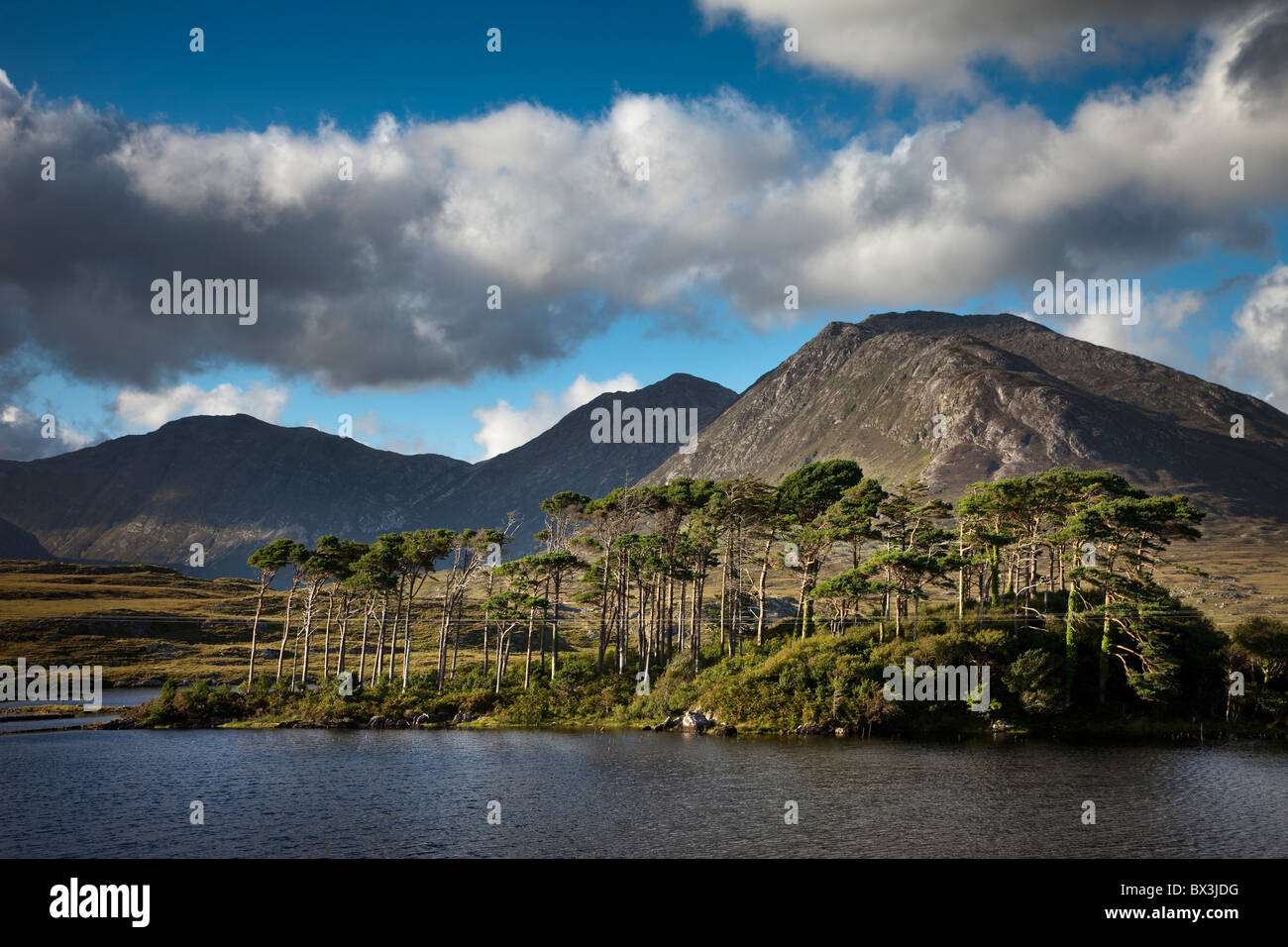 Derryclare Loughin Connemara Region, Irland Stockfoto