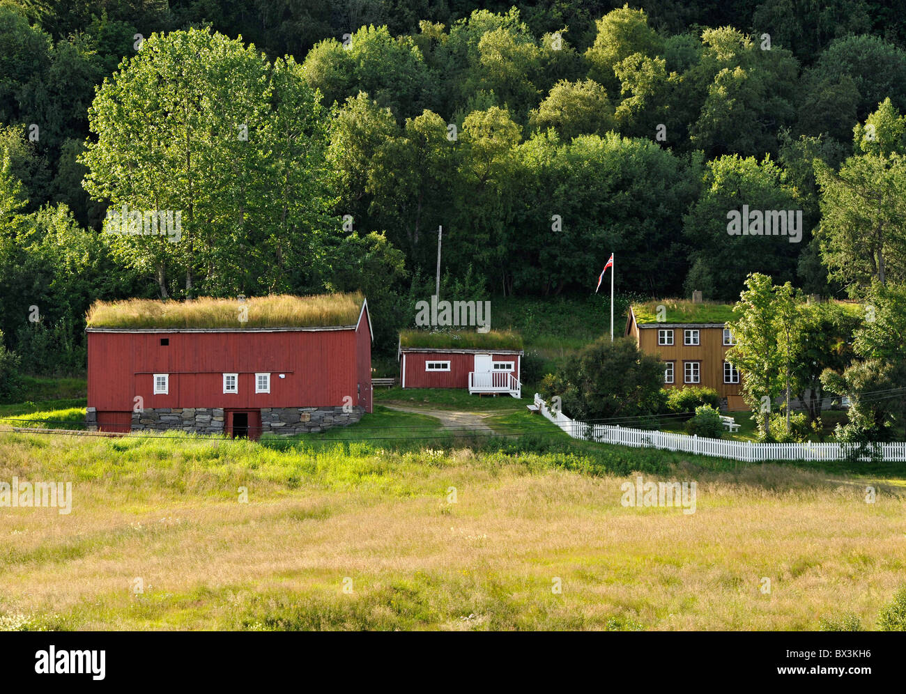Der Schriftsteller Knut Hamsun Elternhaus auf Hamaroy, Nord-Norwegen. Stockfoto