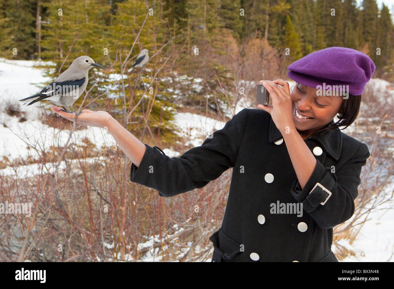Eine junge Frau hält einen Vogel In der Hand und nimmt ein Bild mit ihrer Kamera; Lake Louise, Alberta, Kanada Stockfoto