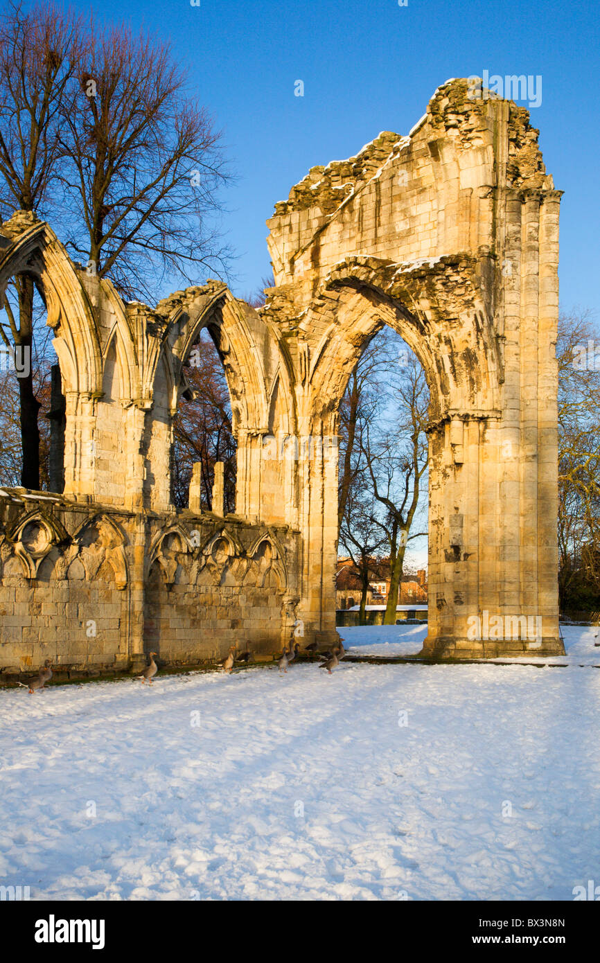 St Marys Abbey im Winter York Yorkshire England Stockfoto