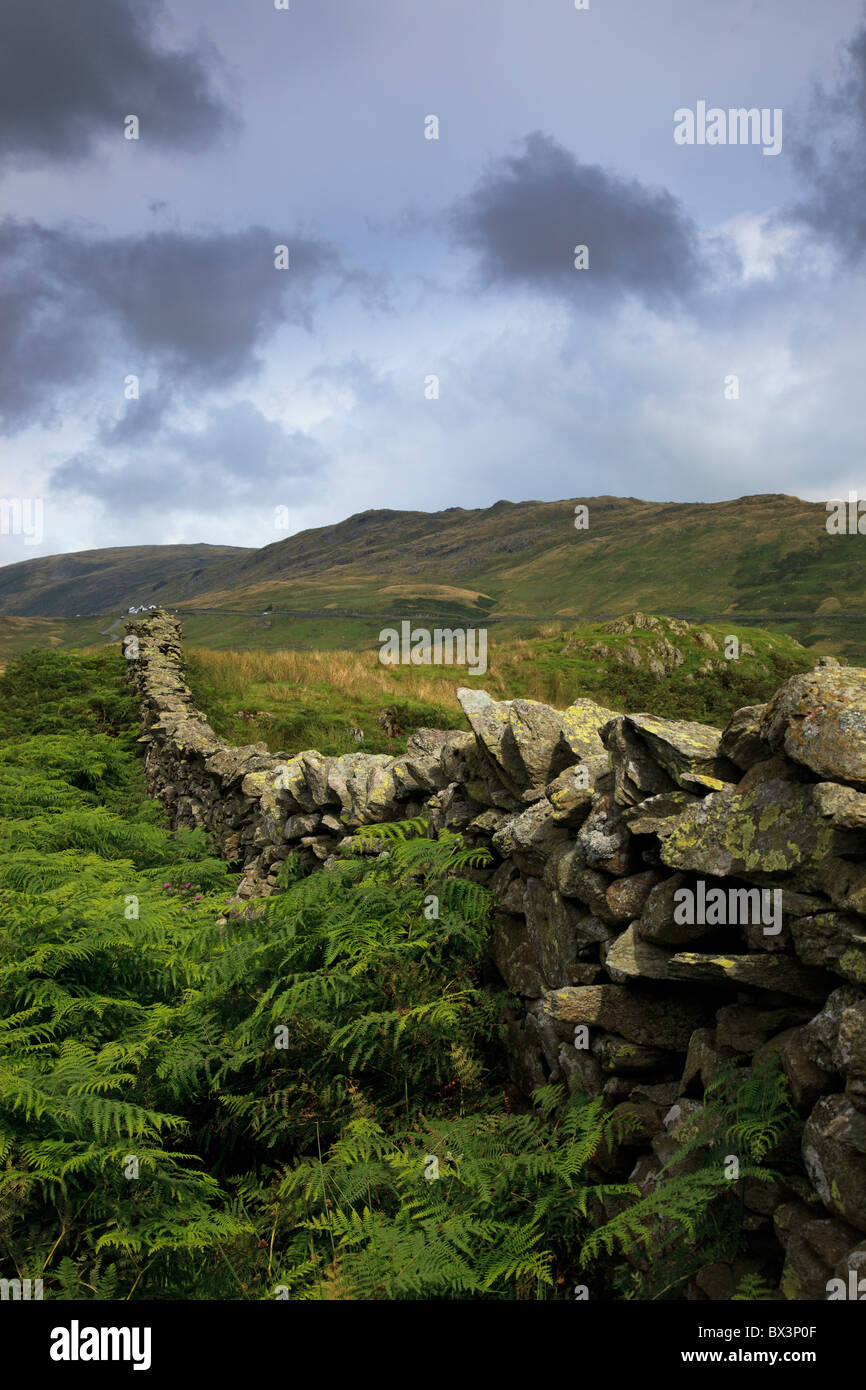 Eine Steinmauer durch Felder; Seenplatte, Cumbria, England Stockfoto