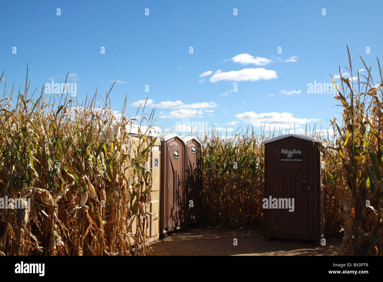 Außentoilette (Port-a-Töpfchen) in einem Maisfeld in Minnesota. Stockfoto