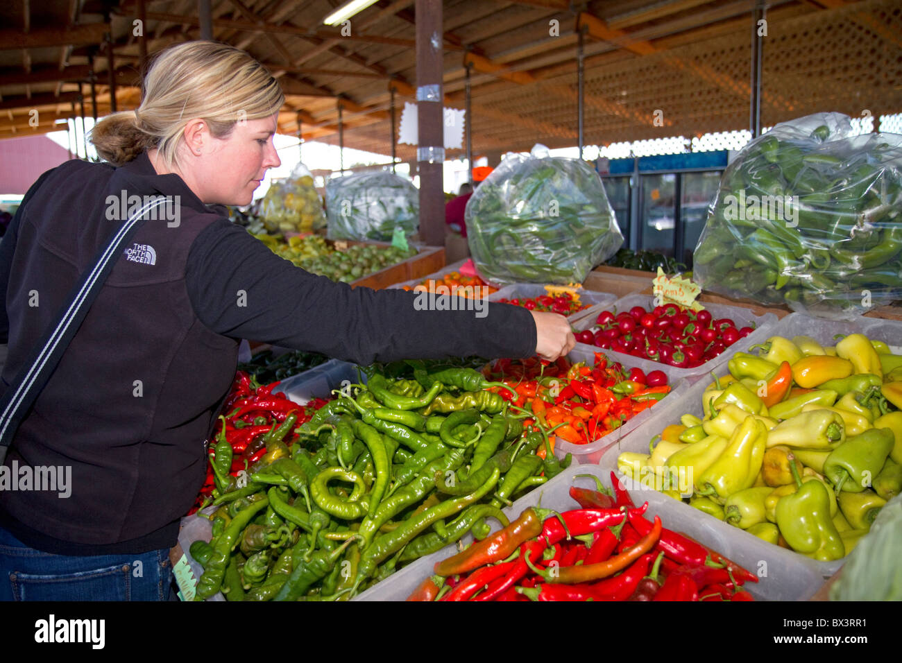 Frau shopping für eine Vielzahl von Paprika auf ein Outdoor-Bauernmarkt in Fruitland, Idaho, USA. HERR Stockfoto