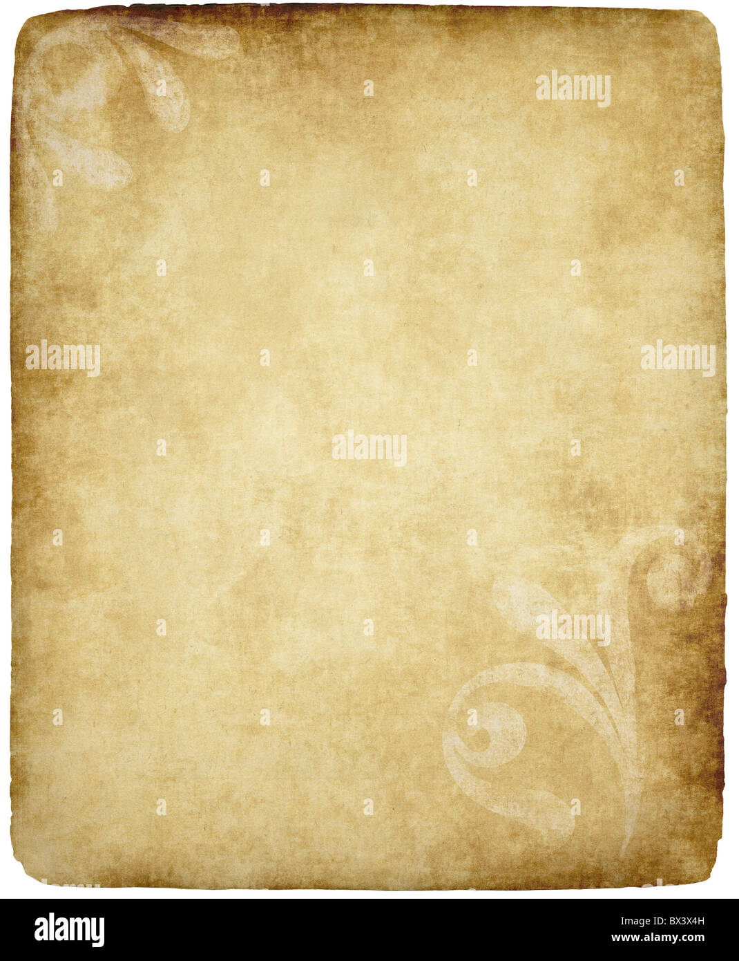große alte Papier oder Pergament Hintergrundtextur mit großen floralen design Stockfoto