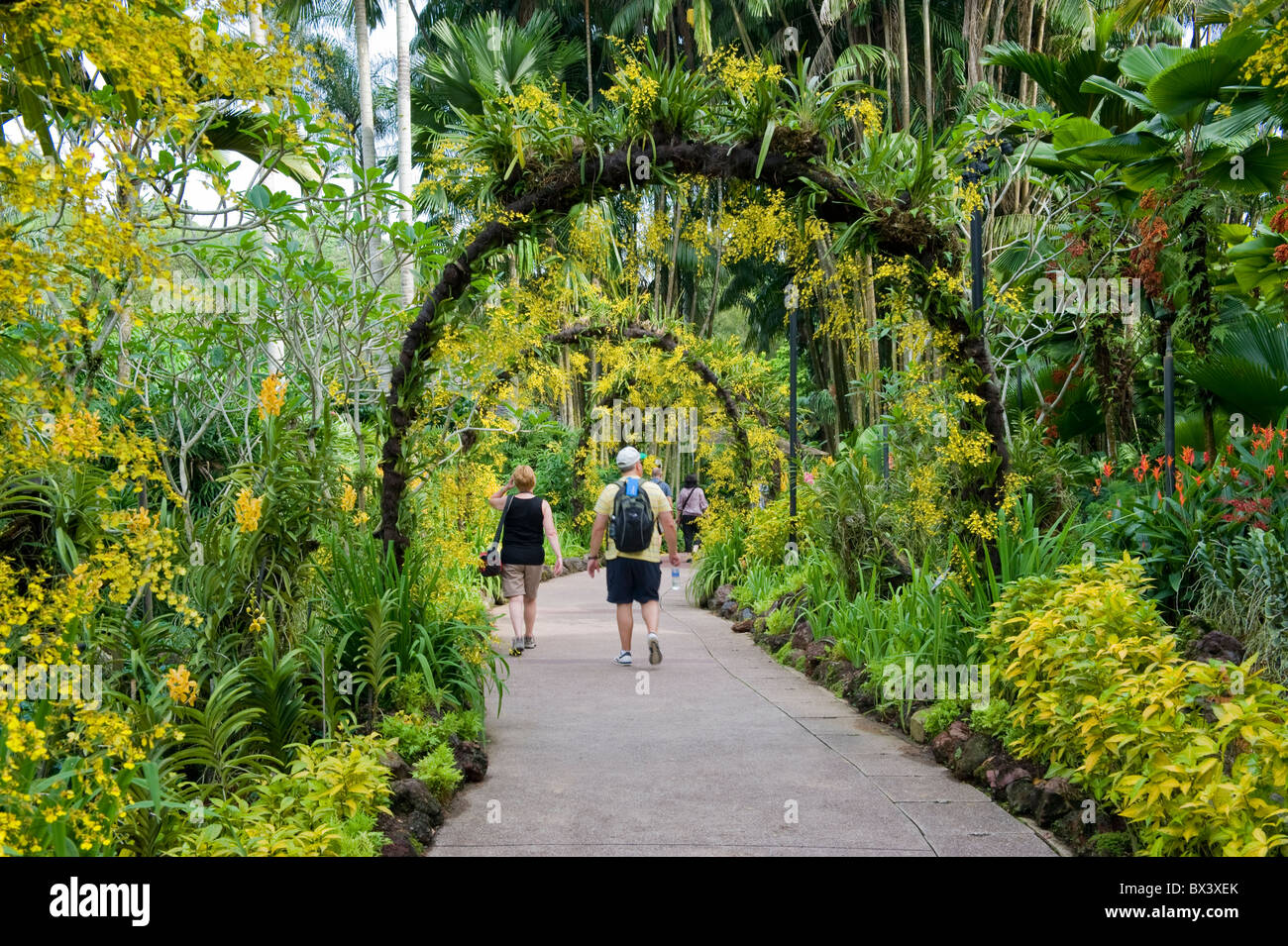 Menschen zu Fuß auf einem Fußweg in die National Orchid Garden in Singapur Stockfoto