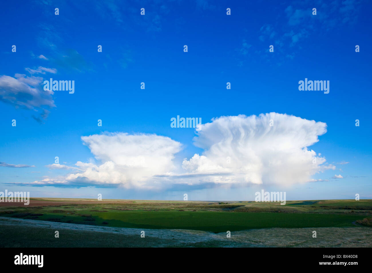 Cumulonimbus Wolken; Alberta, Kanada Stockfoto