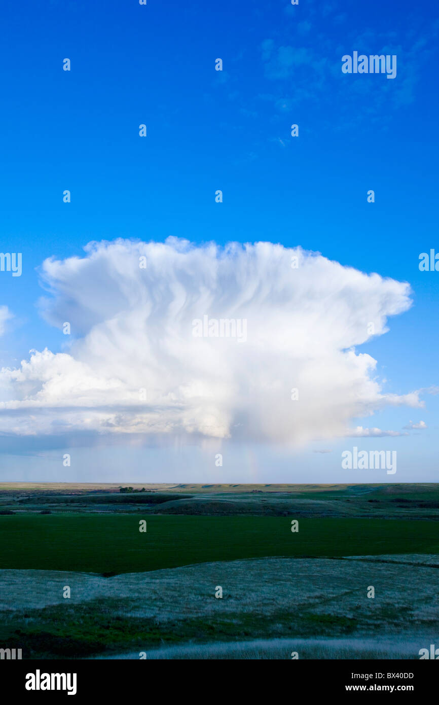 Cumulonimbus Wolken; Alberta, Kanada Stockfoto