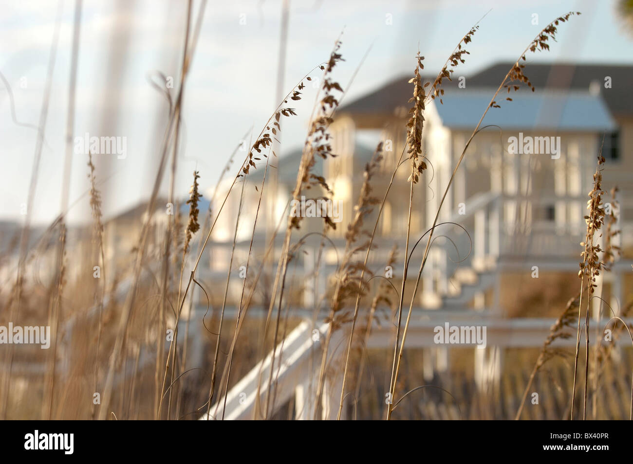 Blick auf Carillon Beach-front-Häuser durch Sehafer. Panama City Beach, Florida. Stockfoto