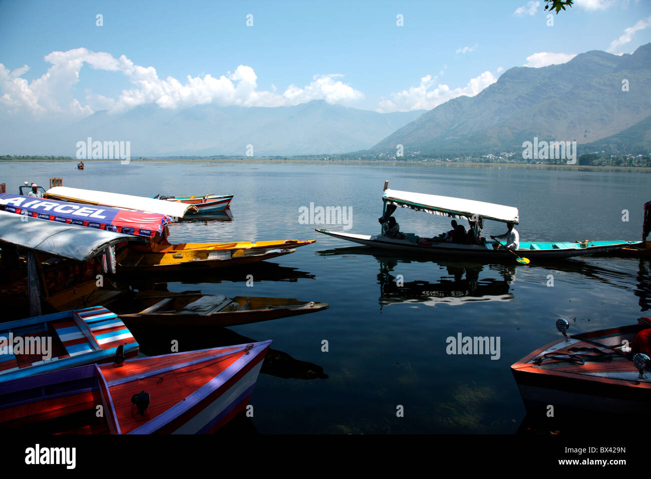 Dal Lake Srinagar, Jammu und Kaschmir, Indien Stockfoto