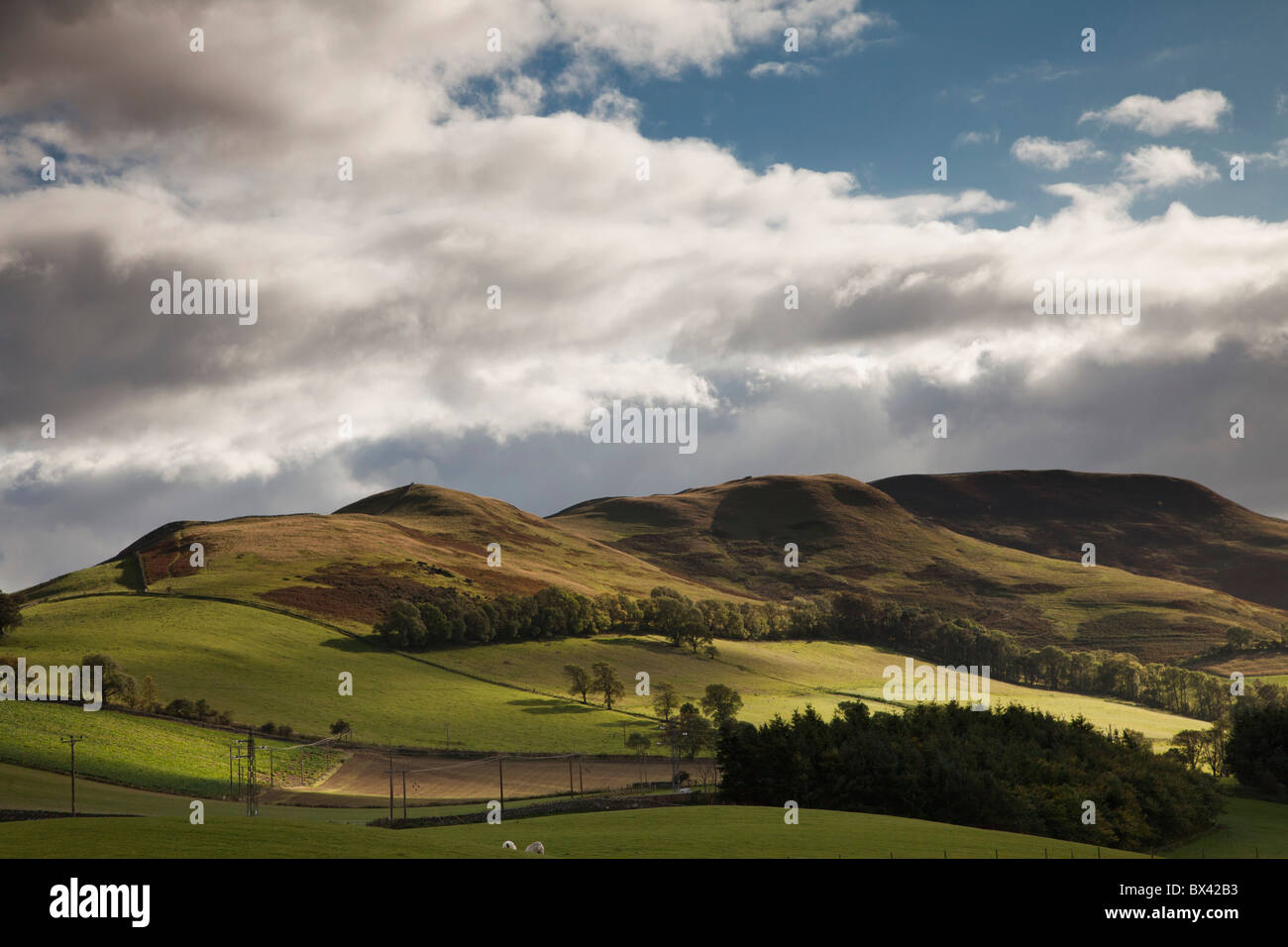 Eine Landschaft mit sanften Hügeln und Stromleitungen und Wolken über Kopf; Scottish Borders, Schottland Stockfoto