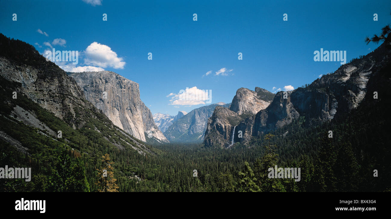 Landschaft-Landschaft Yosemite Nationalpark Kalifornien USA Amerika Vereinigte Staaten Stockfoto