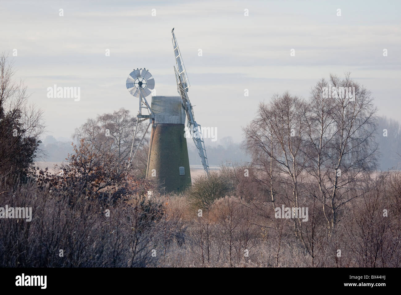 Turf Moor-Mühle bei wie Hill Ludham auf dem Fluss Ant, Broadland, Norfolk Stockfoto