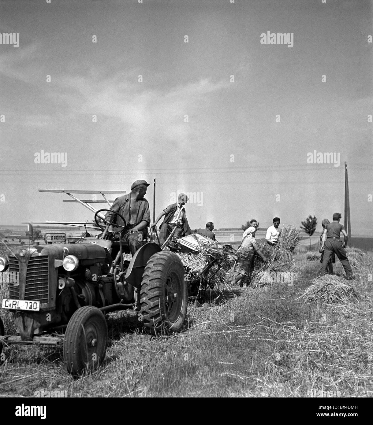 Tschechoslowakei - Racineves 1950. Männer und Frauen von sozialistischen Genossenschaft entfernen Schnitt Weizen Harvester. CTK-Vintage Stockfoto