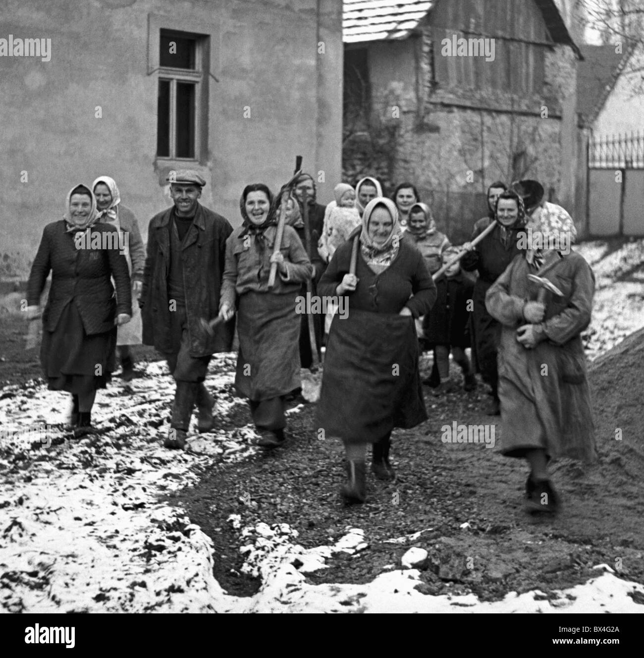 Citov - Tschechoslowakei, 1950.  Frauen tragen Werkzeuge und während des Baus der Kuhstall umsonst arbeiten. CTK Vintage Photo Stockfoto