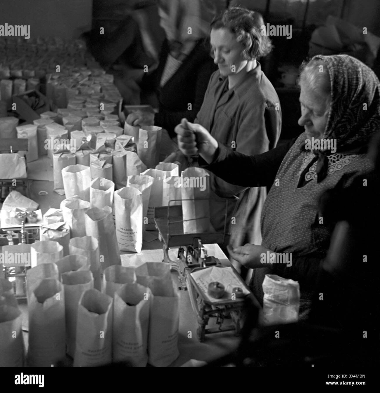 Prag - Tschechoslowakei, 1950. Frauen arbeiten in Kaffee Fabrik verteilen Kaffee in Taschen für Weihnachtsverkauf. CTK Vintage Photo Stockfoto