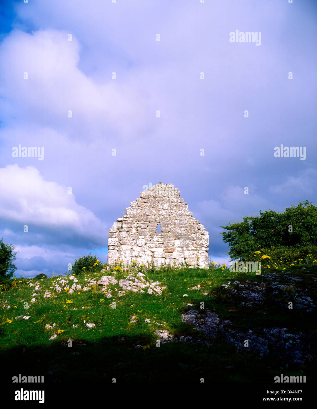 Kildimo, Co Limerick, Irland; Keltische Archäologie In Wiese Stockfoto