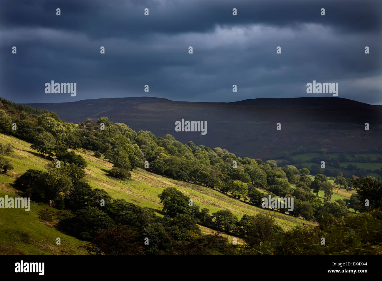 Blaen-yr-Henbant Black Mountains Brecon Beacons Nationalpark Wales UK Stockfoto