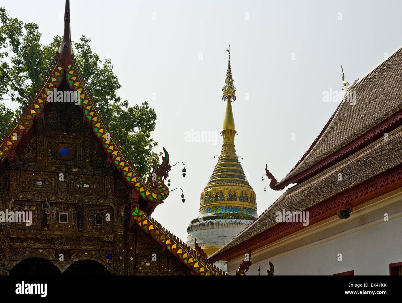 Wat Buppharam in Chiang Mai in Thailand Südostasien. Stockfoto