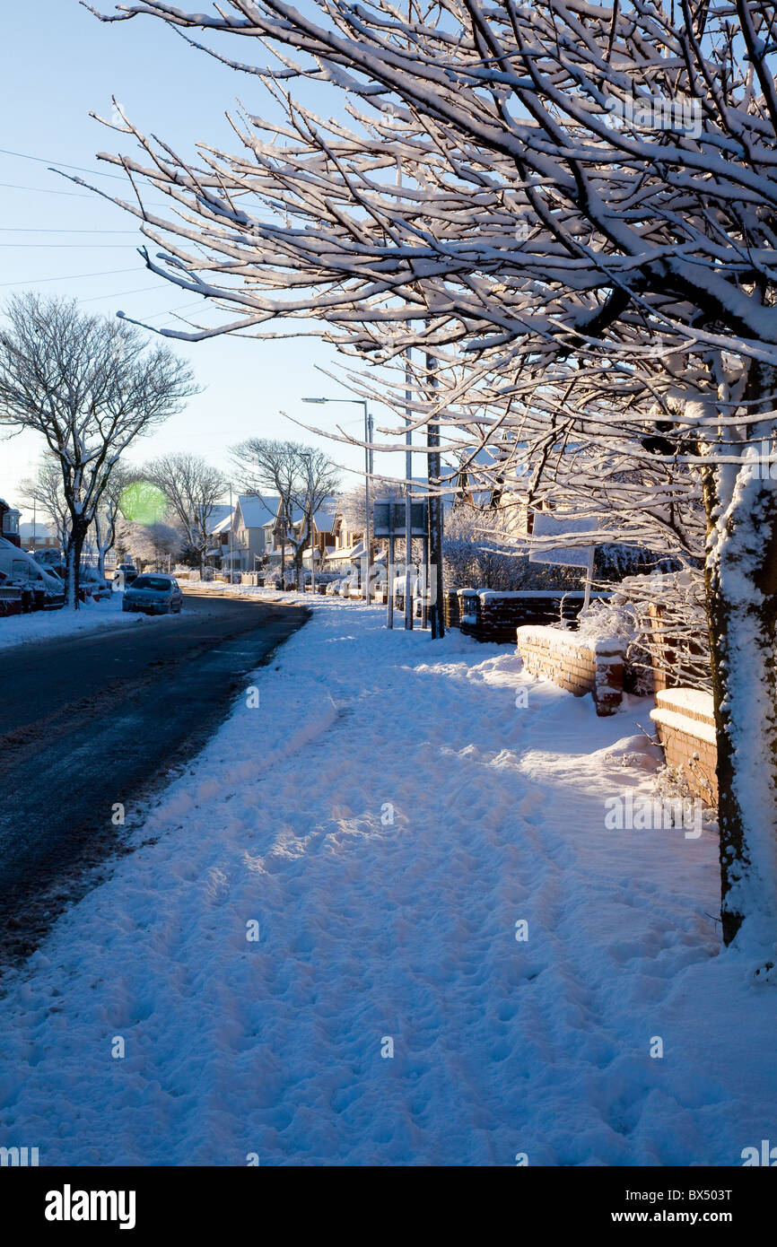 Whitbys Love Lane Pfade und Bäume mit Schnee bedeckt Stockfoto