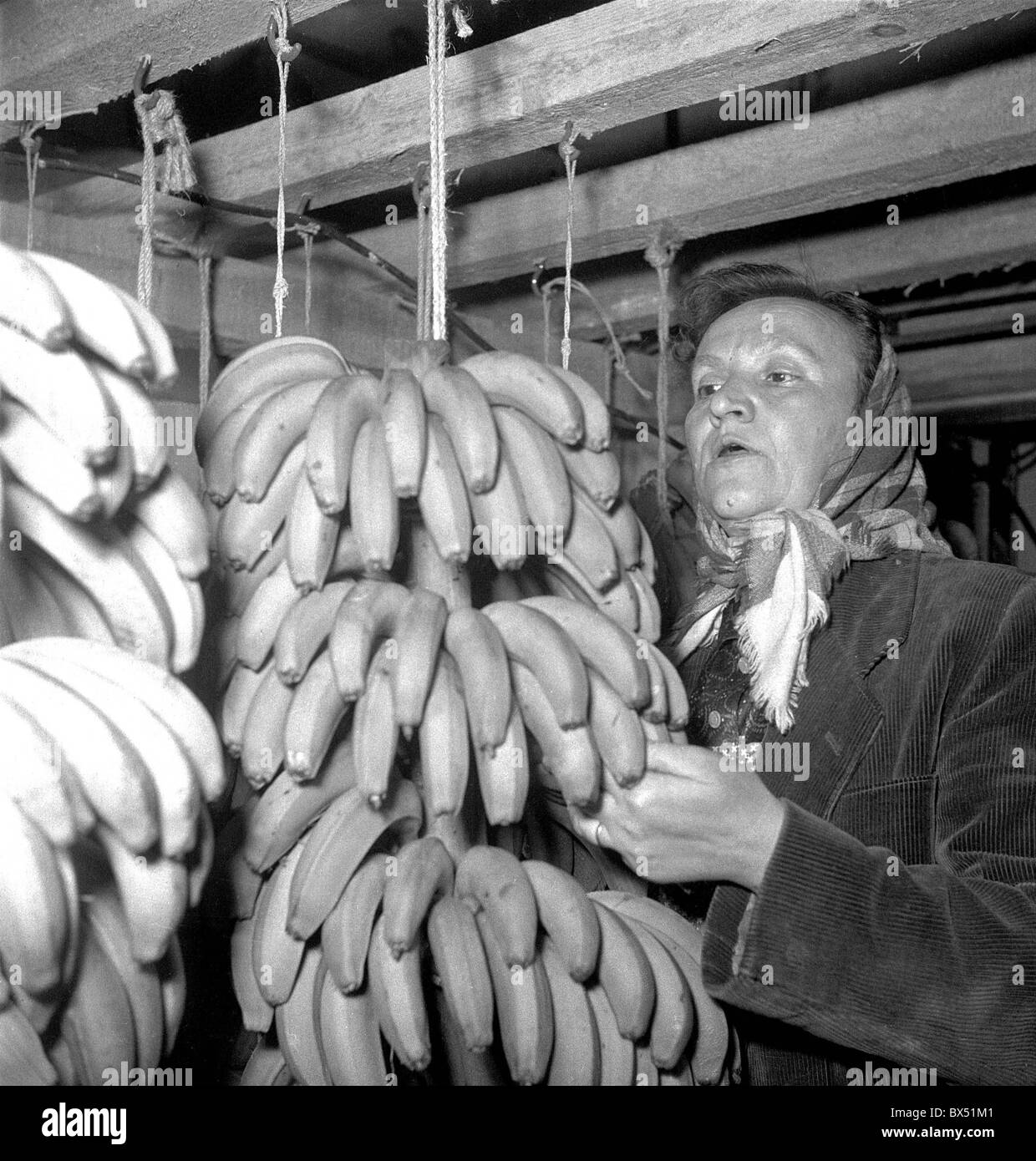 Weihnachten 1959, Bananen Stockfoto