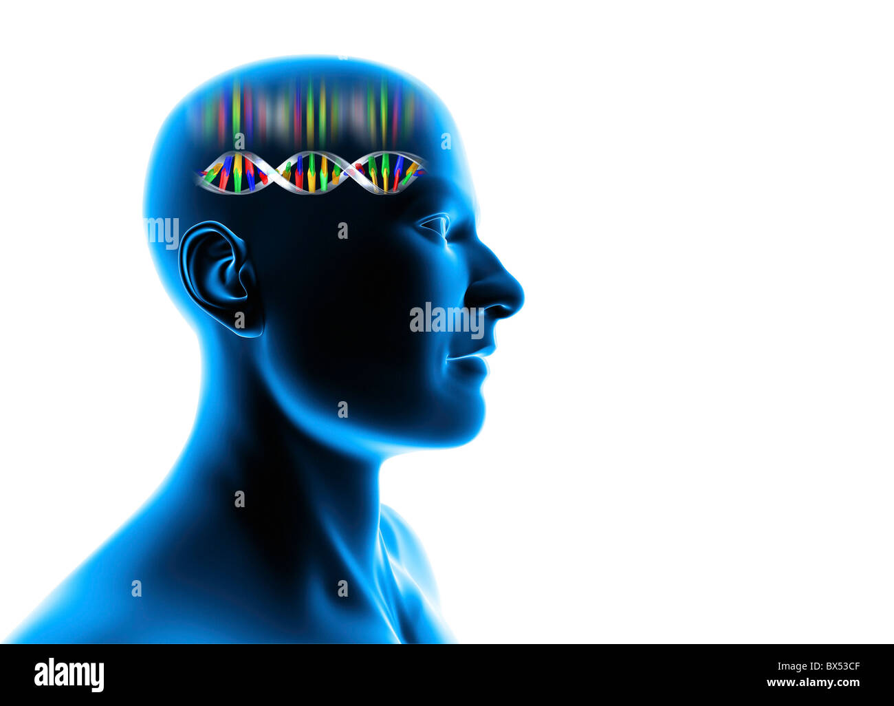 Genetische Individualität, Männerkopf mit DNA Stockfoto