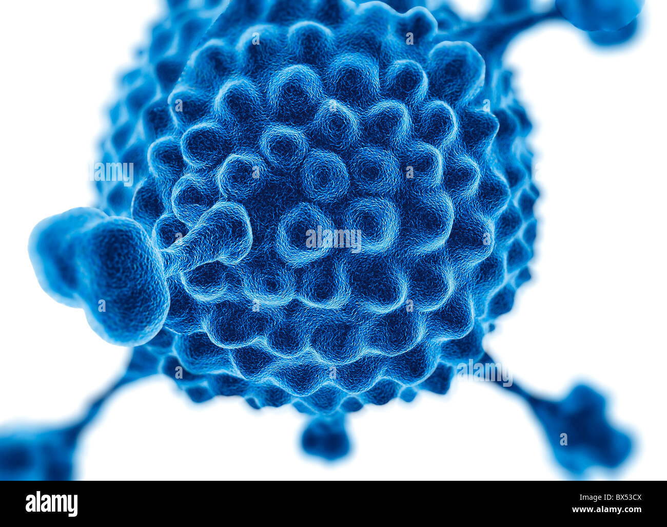 Adenovirus, artwork Stockfoto