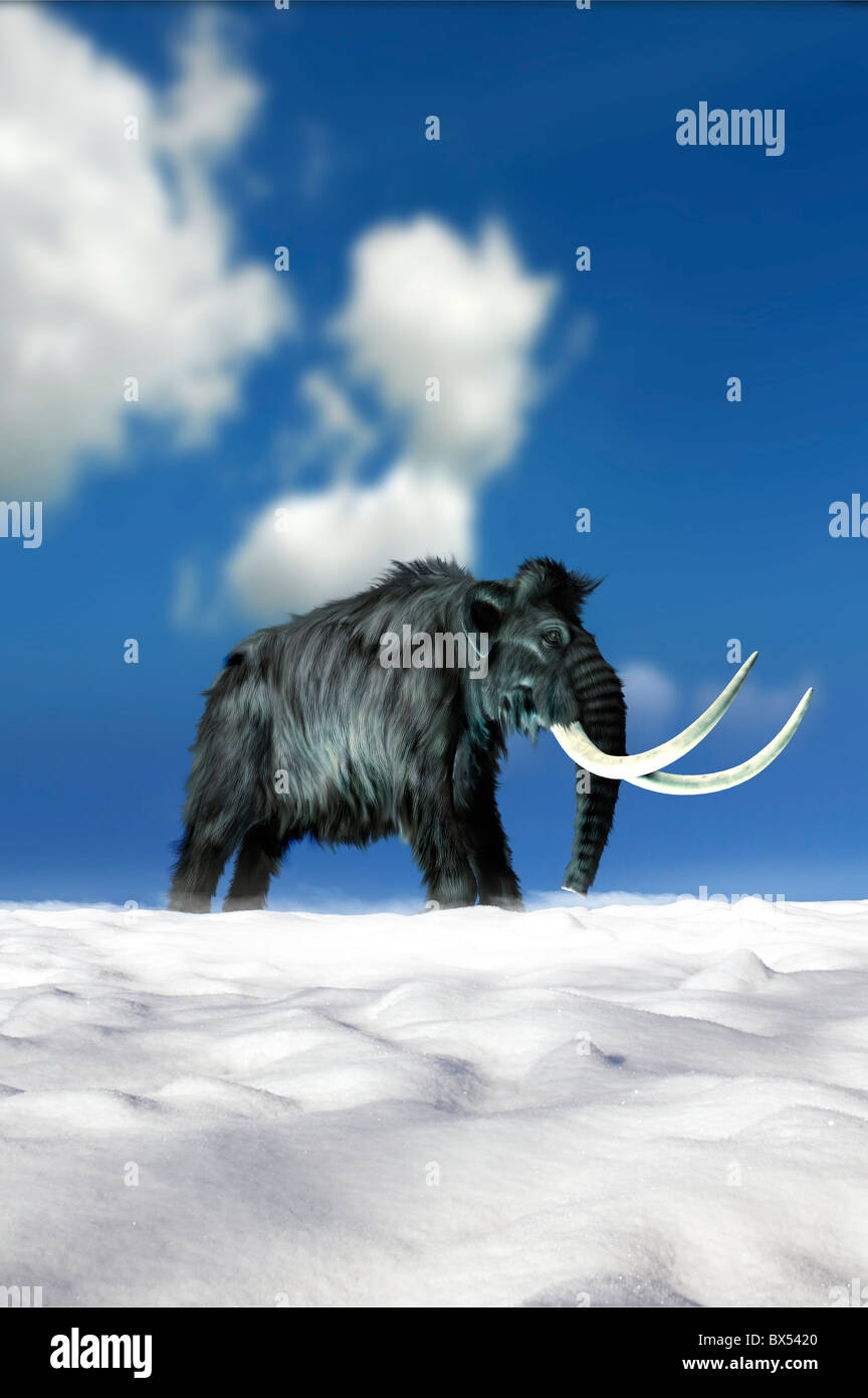 Historisches mammut -Fotos und -Bildmaterial in hoher Auflösung – Alamy