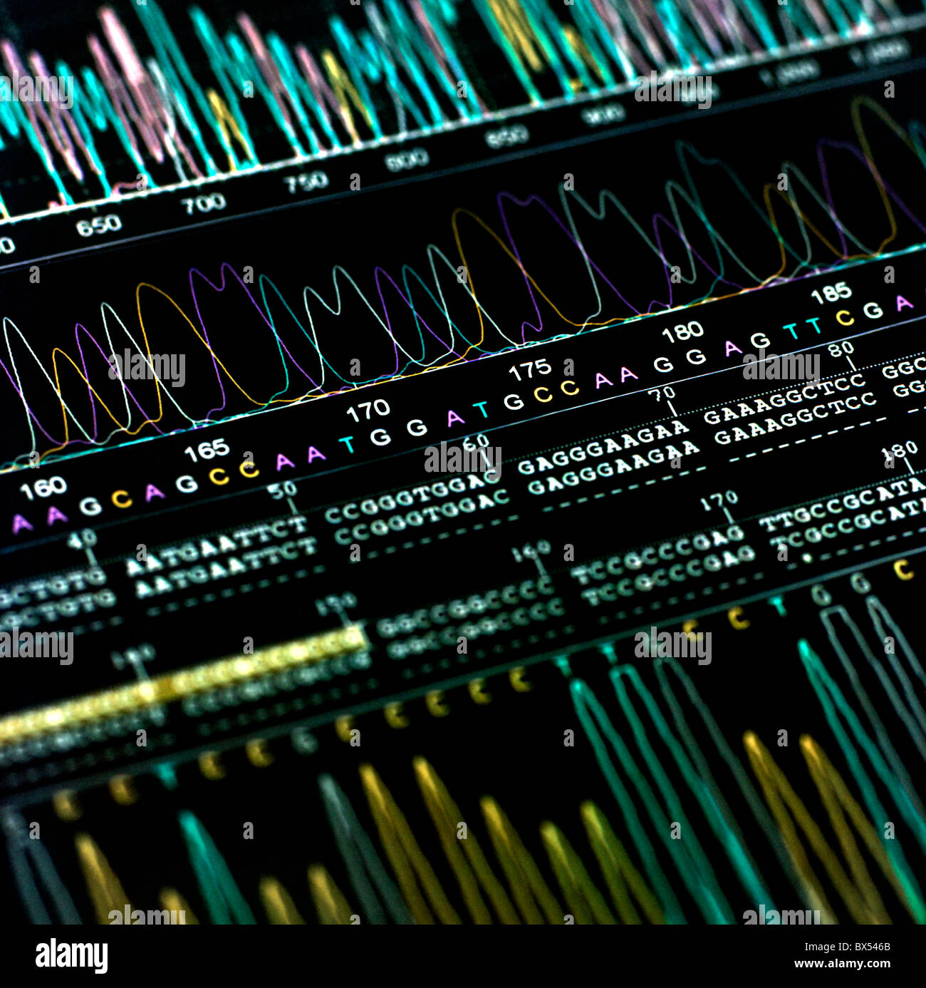 DNA-Analyse Stockfoto