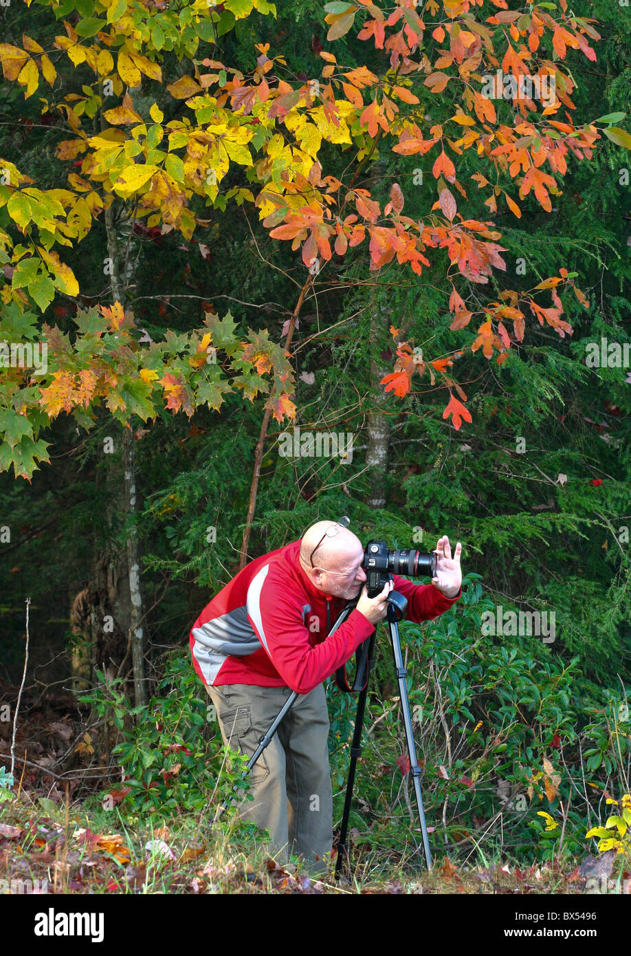 Ein Landschaftsfotograf arbeitet an seiner Herbst Komposition. Stockfoto