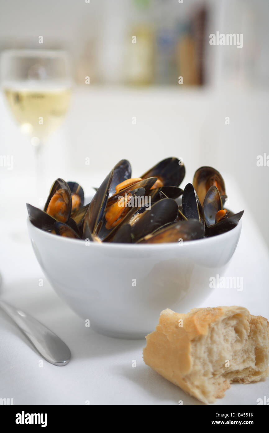 Suchergebnisse Web-Ergebnisse Moules marinière Muscheln in weißer Schüssel mit Brot Stockfoto