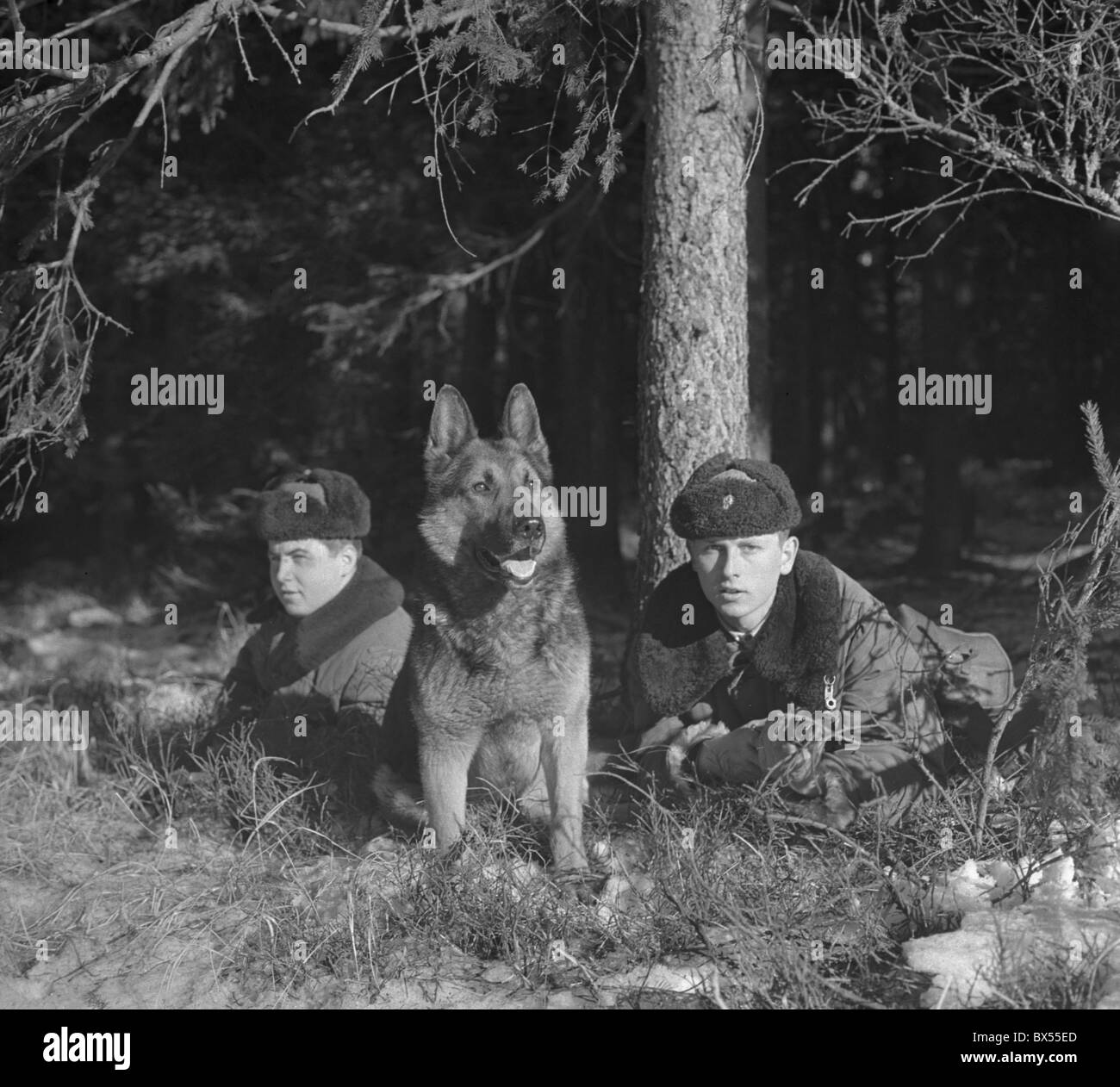 Border Patrol, CSSR, deutsche Shephard, Eiserner Vorhang Stockfoto