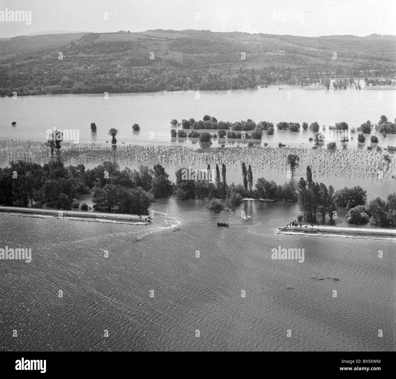 Flut, Flussufer, Donau gebrochen Stockfoto