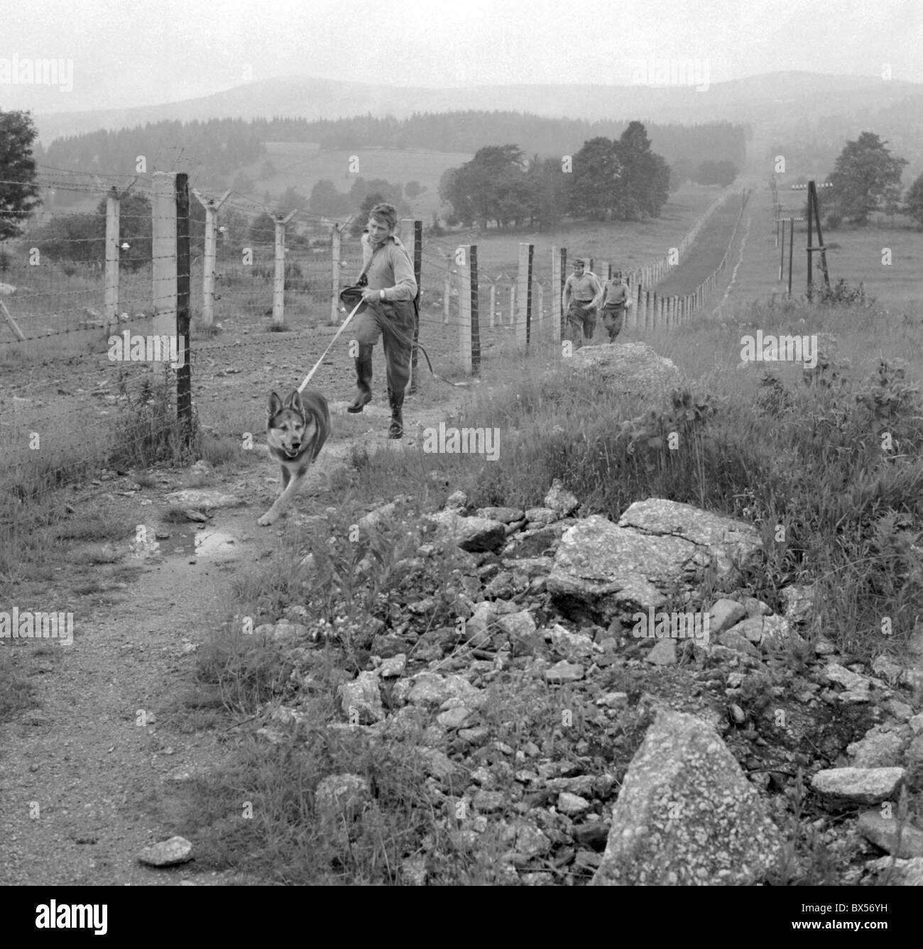 Border Guard, Zaun, Stacheldraht, Hund, Stockfoto