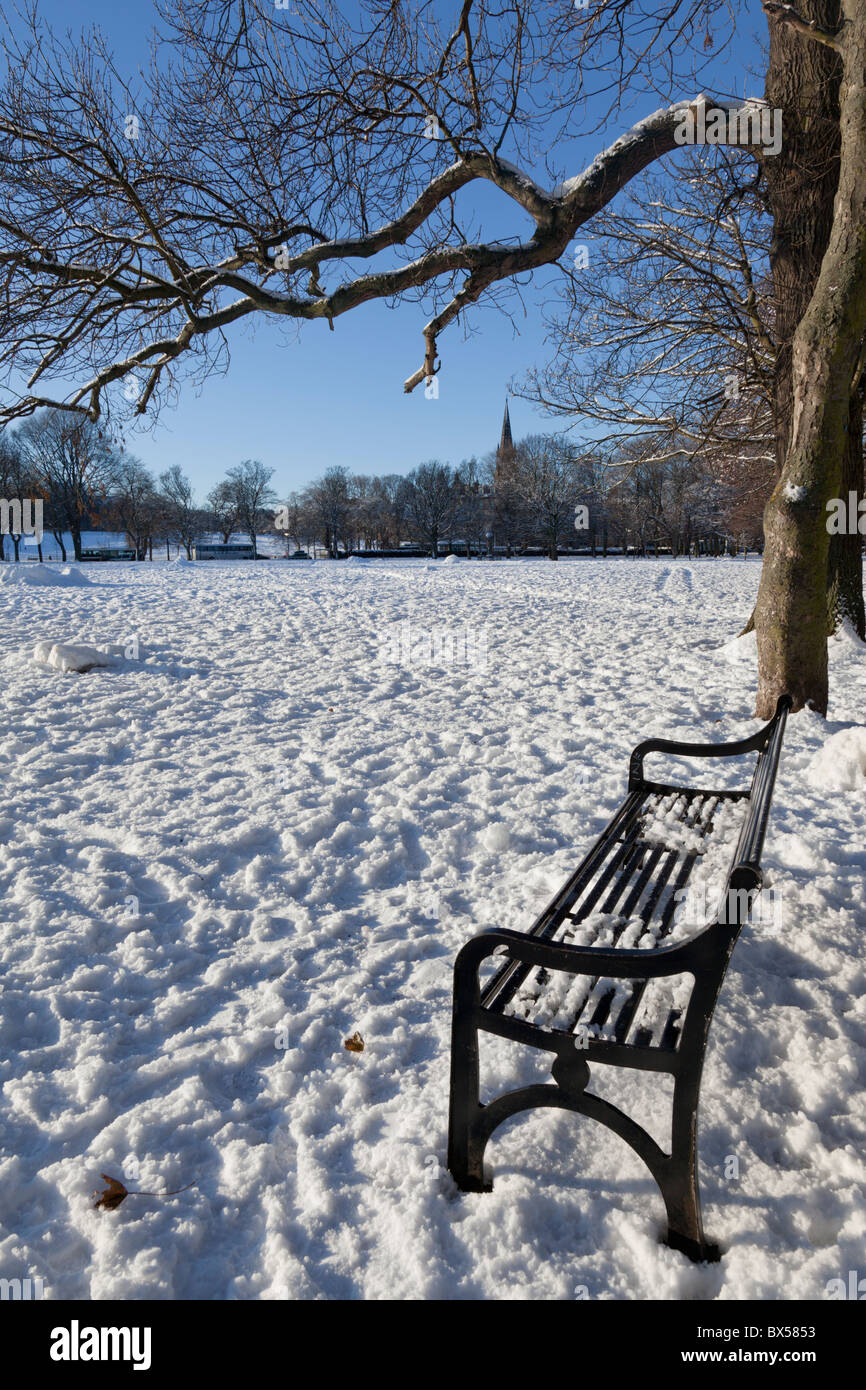 Leere Bank in frühen Morgensonne in Meadows Park, Edinburgh, Scotland, UK Stockfoto